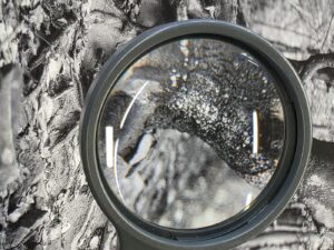 czy wydruki fotograficzne fine art blakną