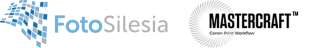 logo foto i master